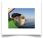 Martin_