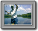 Valter_
